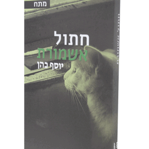 חתול אשמורת