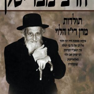 הרב מבריסק חלק ד