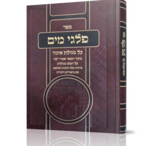 פלגי מים על מגילת איכה