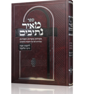 מאיר נתיבים