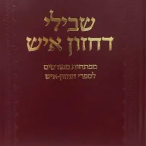 שבילי דחזון איש