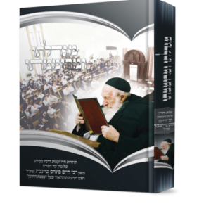 מגדלתו ומרוממתו – הרב שיינברג