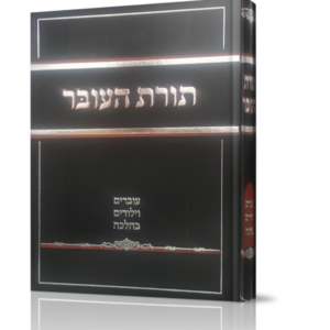 תורת העובר
