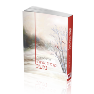 קומה אחת מעל
