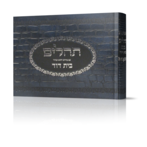 תהילים – בית דוד (סקאי)