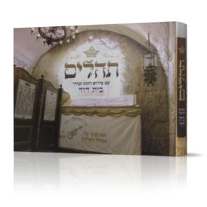 תהילים – בית דוד (לימינציה)