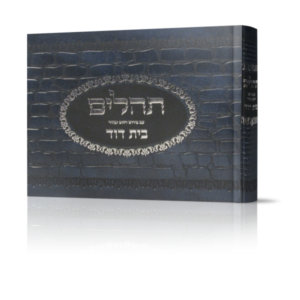 תהילים בית דוד – פורמט קטן