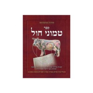 טמוני חול / מסכת חולין