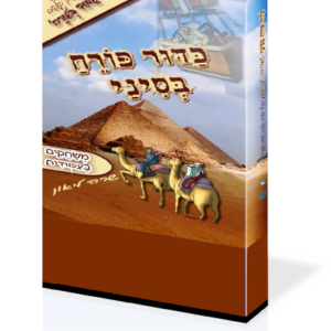 כדור פורח בסיני