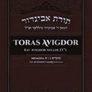 Toras Avigdor – Moadim I