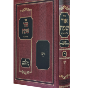 אור שמח על הרמב"ם / חלק ה'