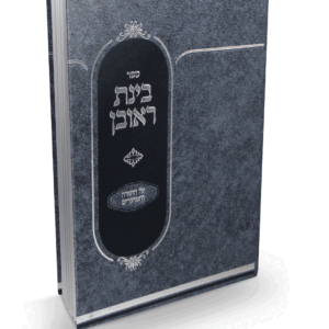 בינת ראובן על התורה