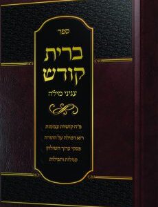ברית קודש
