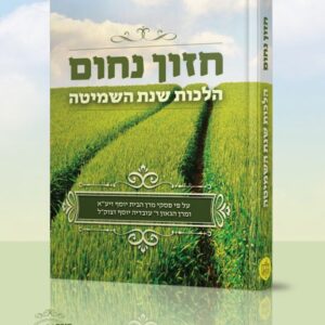 חזון נחום / הלכות שנת השמיטה [מנוקד]
