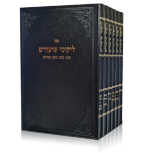 ליקוטי שיעורים [ו"כ] / הגאון רבי פסח שטיין זצ"ל