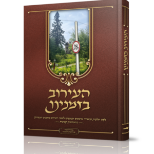 העירוב בזמנינו