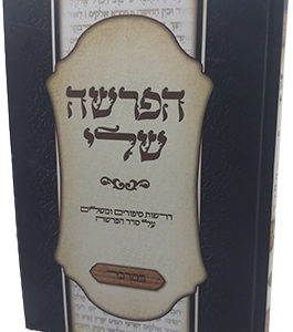 הפרשה שלי – במדבר