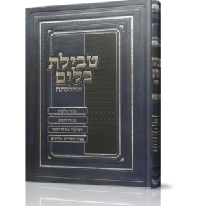 טבילת כלים כהלכתה