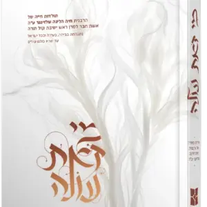 מי זאת עולה