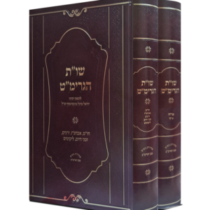 שו"ת הגרימ"ט