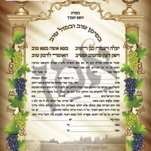 שטר תנאים / עפ"ד מרן הגר"מ פיינשטיין