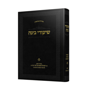 שיעורי בינה [ח"ב]