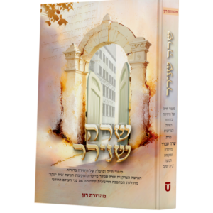 שרה שנירר