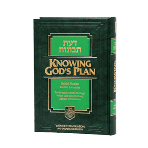 Knowing G-d's Plan