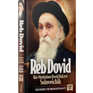 REB DOVID