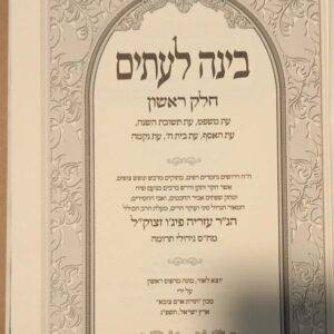 בינה לעיתים