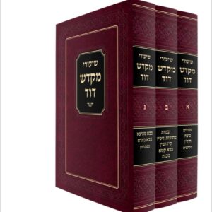 שיעורי מקדש דוד על הש"ס [ג"כ]