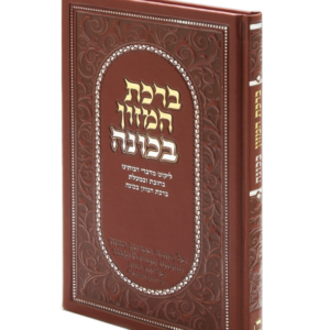 ברכת המזון בכוונה