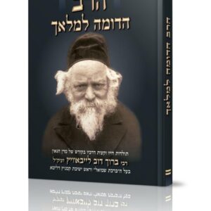 הרב הדומה למלאך