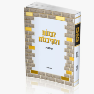 לבנות ולהיבנות / שידוכין