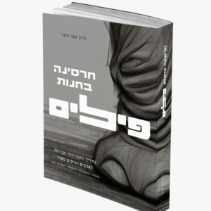 חרסינה בחנות פילים