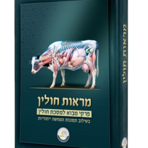 מראות חולין