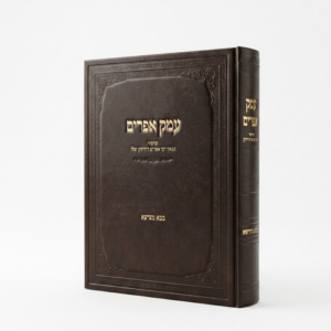 עמק אפרים / בבא מציעא