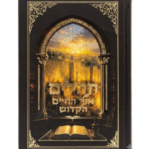תהלים אור החיים הקדוש