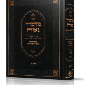 מדברך נאוה / בירור משנתו של רבינו החפץ חיים