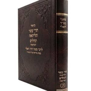 ביאור תרי עשר תליתאה / תהלים חמישאה