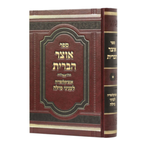 אוצר הברית [א']