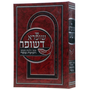 שופרא דשופר