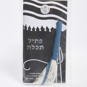 פתיל תכלת – רמב״ם 13