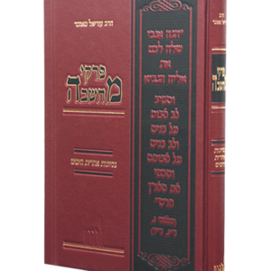 פרקי מחשבה נסיונות ואחרית הימים