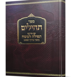 תהילים עם פירוש תפילה למשה – הרב מיכל שטרן