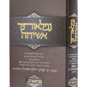 נפלאותיך אשיחה