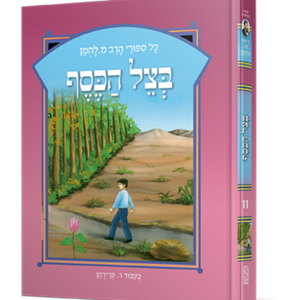 סיפורי להמן 11 בצל הכסף