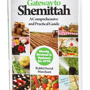 GATEWAY TO SHEMITTAH