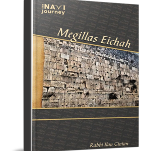 Navi Journey Eichah