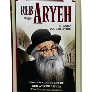 Reb Arye for Kids